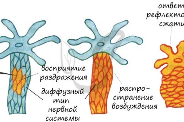 Аутентификатор кракен