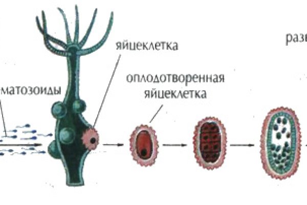 Kraken darknet kraken darknet 2n com