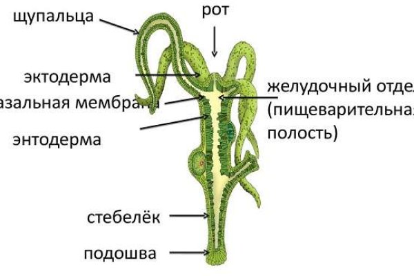 Kraken cc ссылка