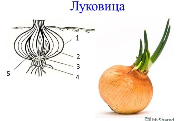 Войти в кракен