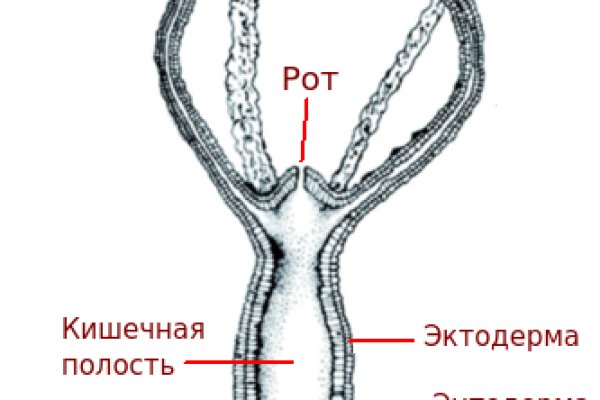 Кракен 16