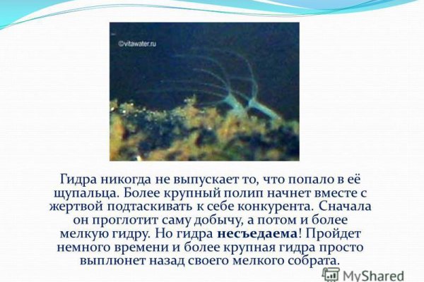 Кракен дарк оригинал ссылка