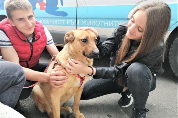 Кракен сайт пишет пользователь не найден