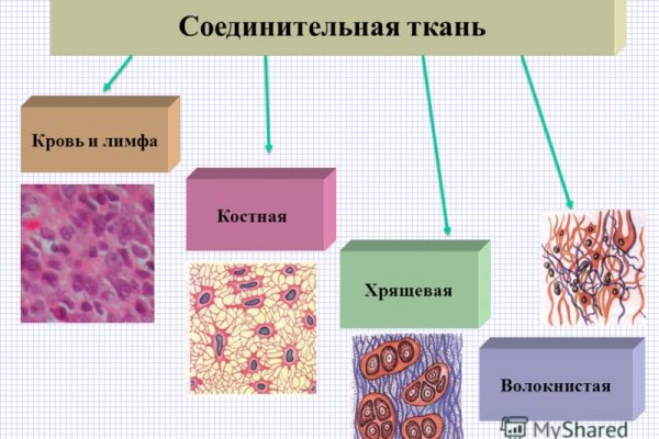 Запрещенный сайт кракен